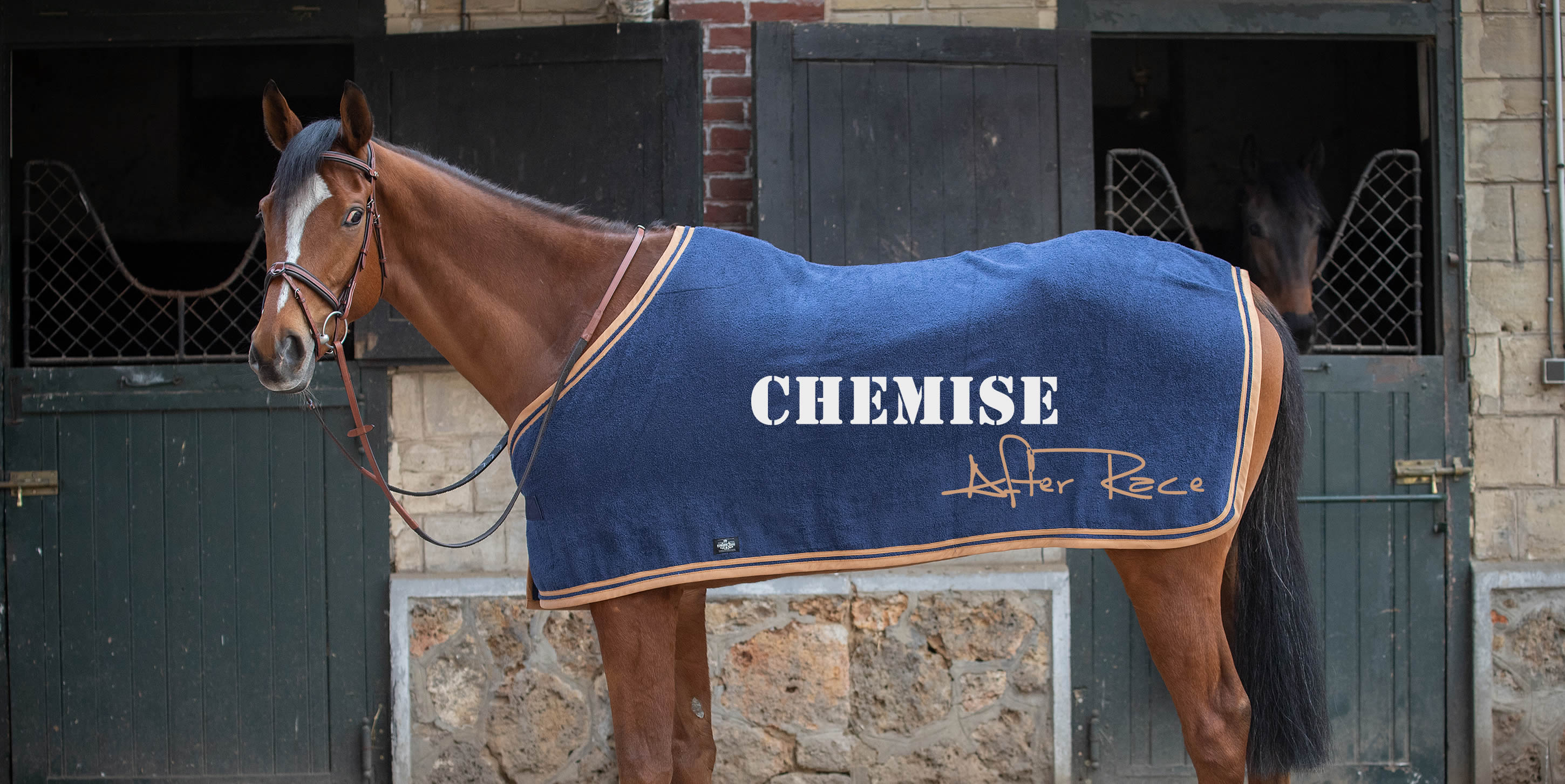Protège-queue pour cheval rembourré Premier Equine | La sellerie de Maé